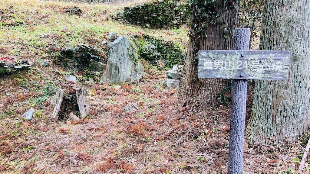 f:id:pikoan:20250219110438j:image