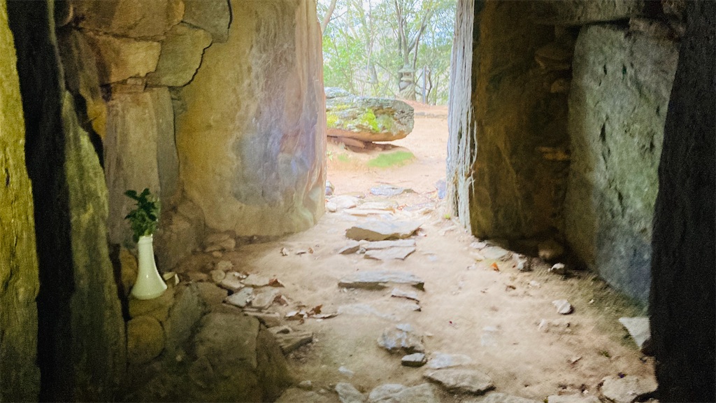 f:id:pikoan:20250219110442j:image