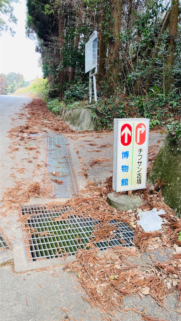 f:id:pikoan:20250503181714j:image f:id:pikoan:20250503181714j:image