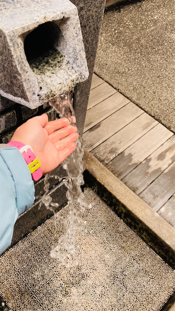 f:id:pikoan:20250503181719j:image f:id:pikoan:20250503181719j:image