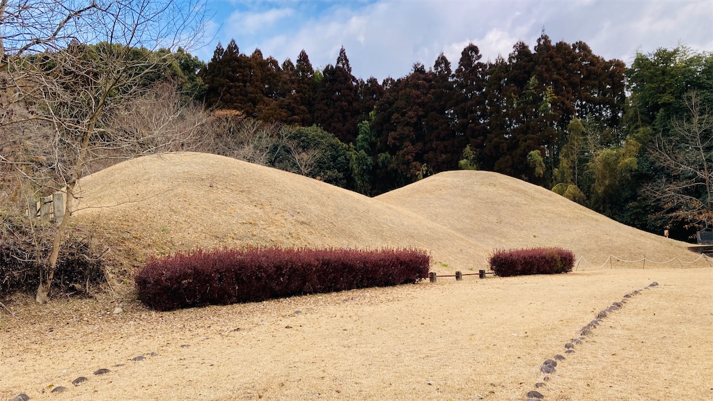 f:id:pikoan:20250503182010j:image f:id:pikoan:20250503182010j:image