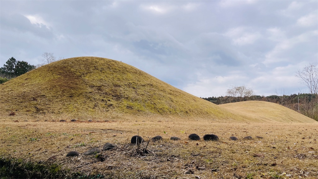 f:id:pikoan:20250503182014j:image f:id:pikoan:20250503182014j:image