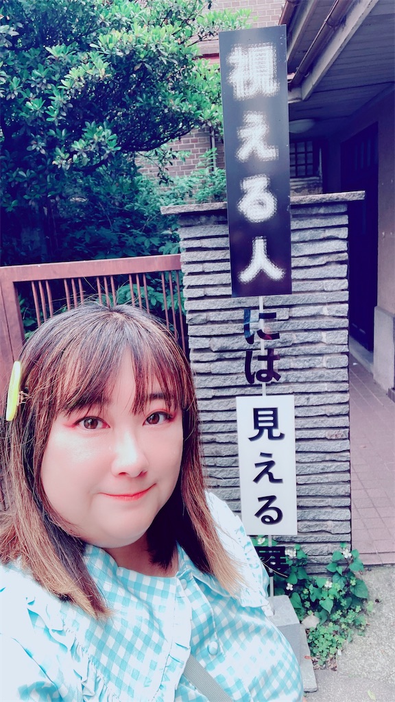 f:id:pikoan:20250616235642j:image