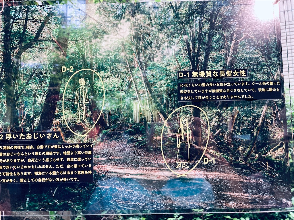 f:id:pikoan:20250616235657j:image