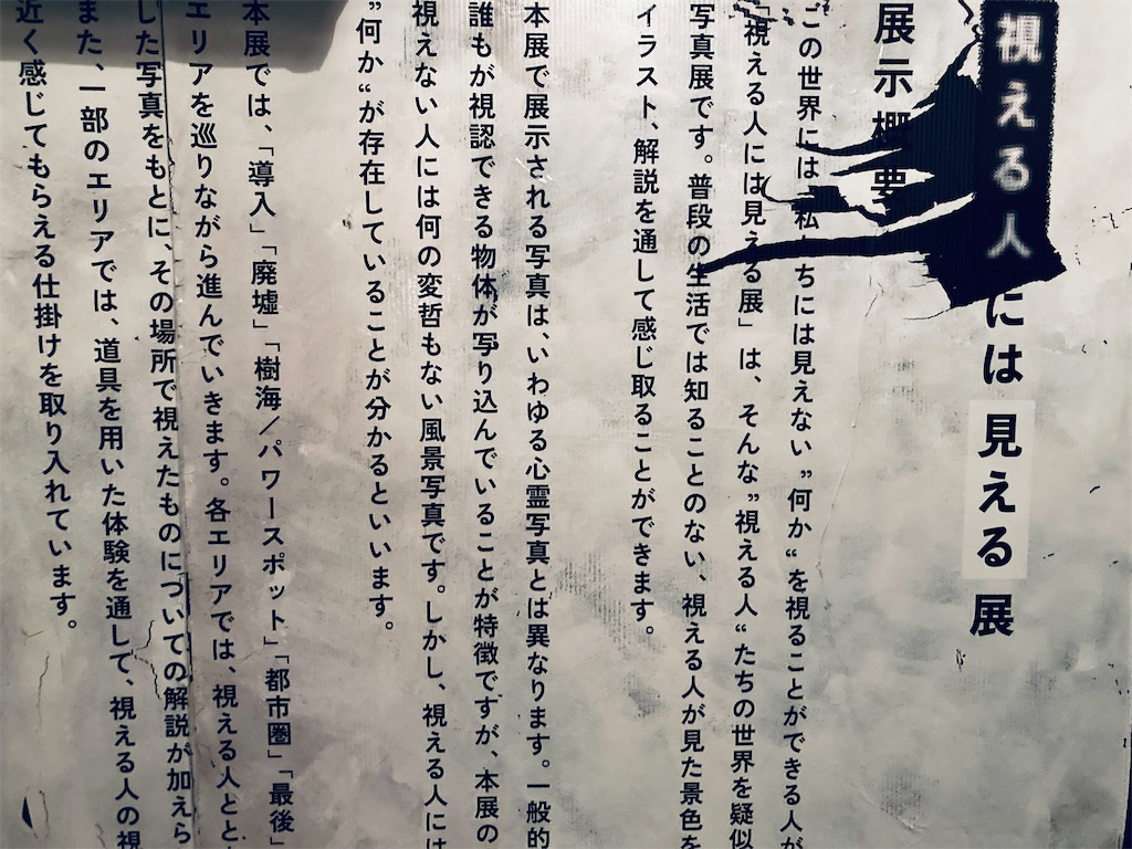 f:id:pikoan:20250616235707j:image