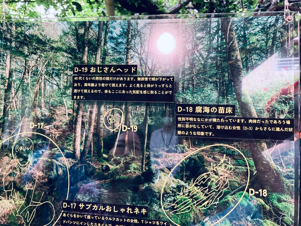 f:id:pikoan:20250616235710j:image