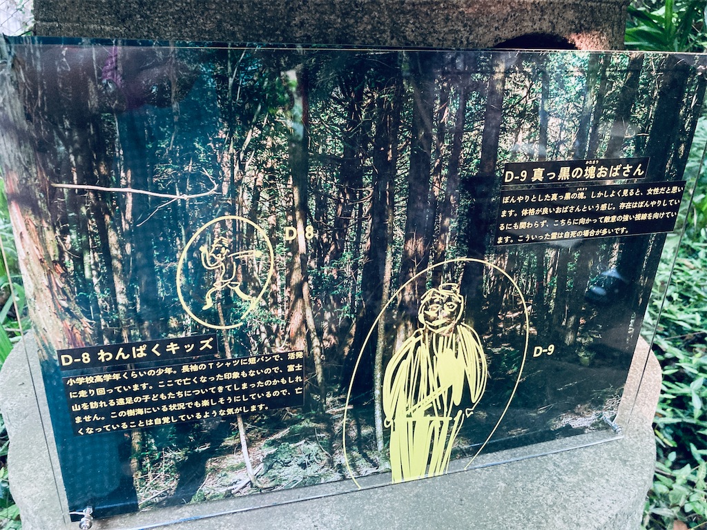 f:id:pikoan:20250616235720j:image