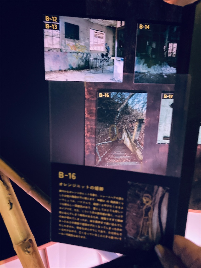 f:id:pikoan:20250616235733j:image