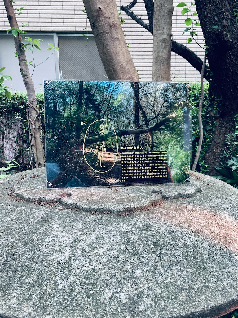 f:id:pikoan:20250616235737j:image