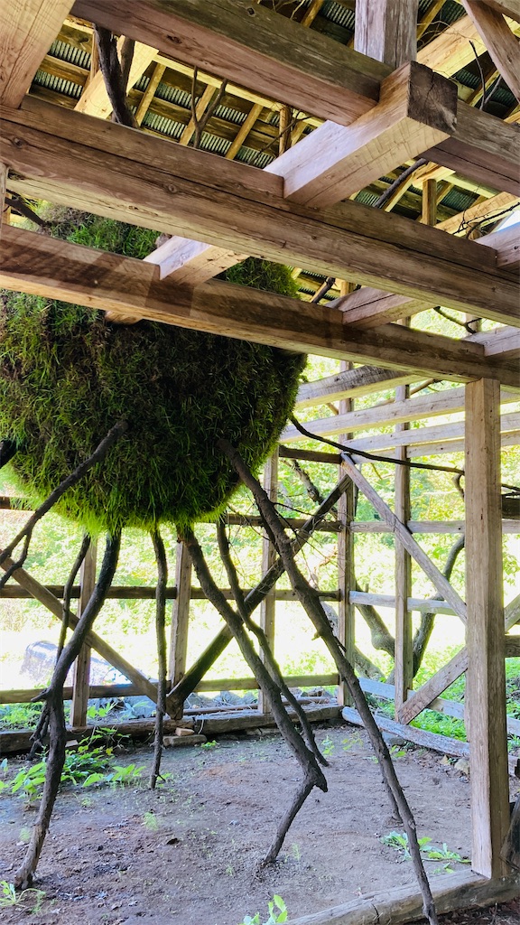 f:id:pikoan:20251225114836j:image