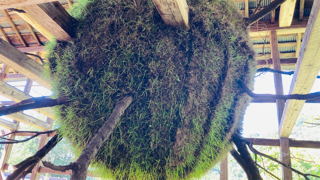 f:id:pikoan:20251225114849j:image