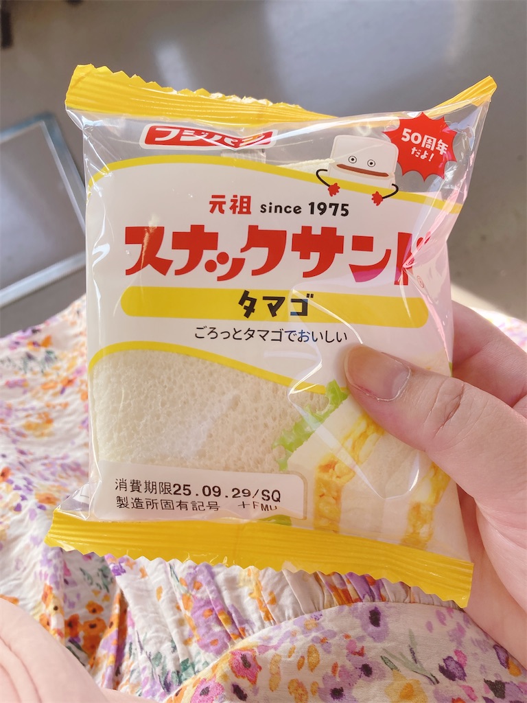 f:id:pikoan:20251225115027j:image