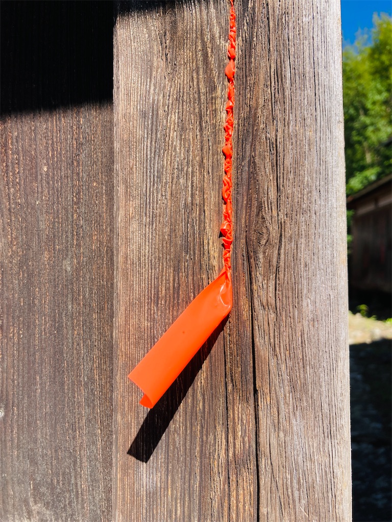 f:id:pikoan:20251225115045j:image