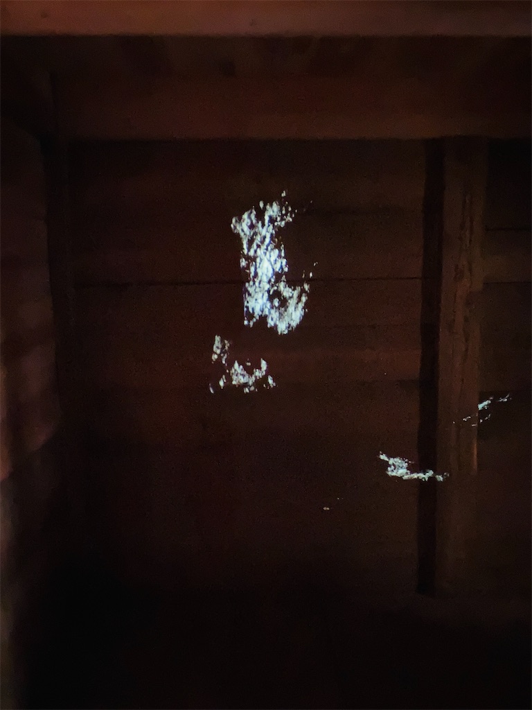 f:id:pikoan:20251225115111j:image