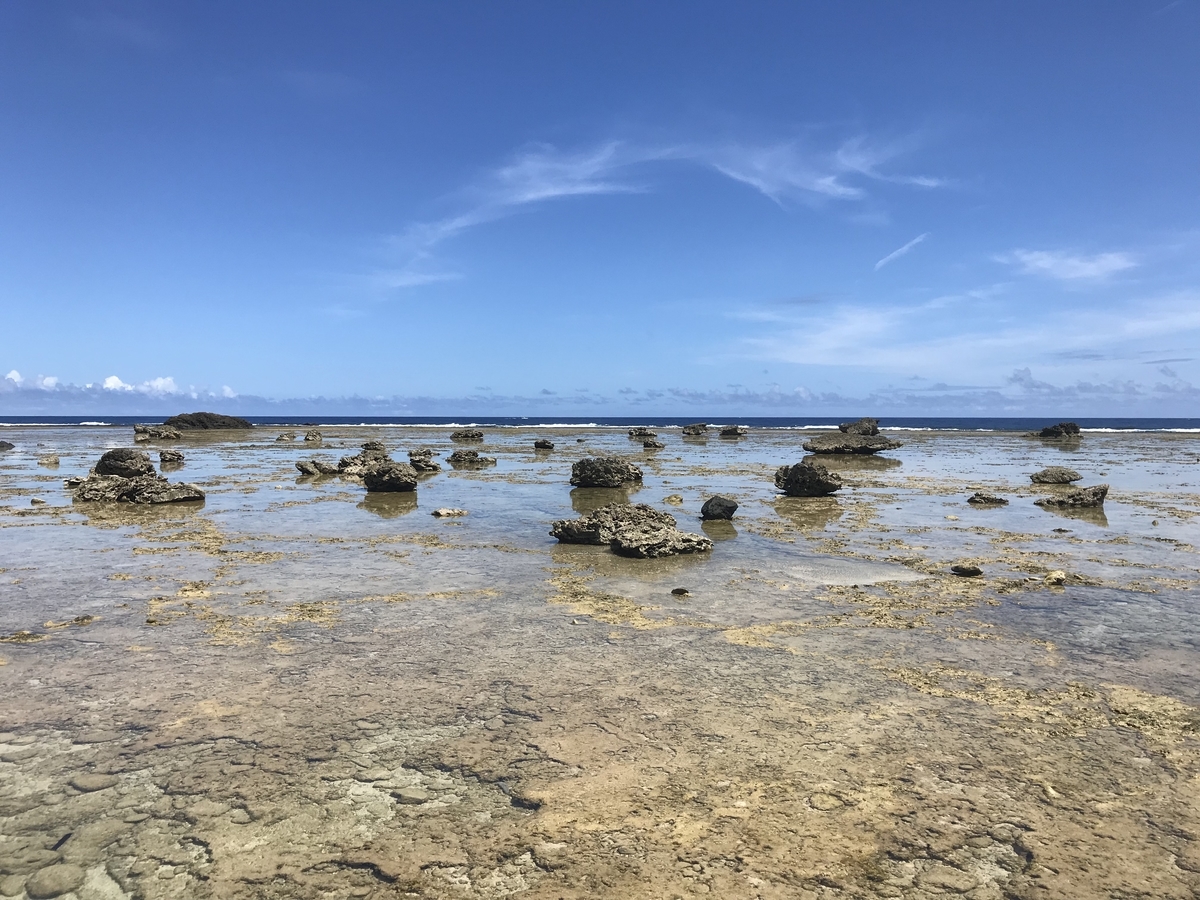 f:id:pikohei:20190911115800j:plain f:id:pikohei:20190911115800j:plain