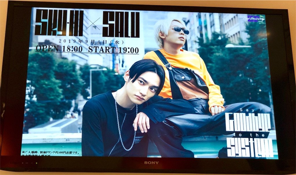 f:id:pikopiko99:20190905033100j:image