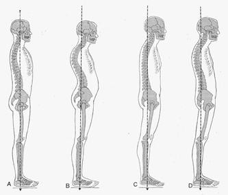 f:id:pilates_master:20080403192720j:image f:id:pilates_master:20080403192720j:image