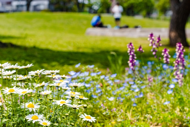 f:id:pilatesno-1:20210210232040j:plain