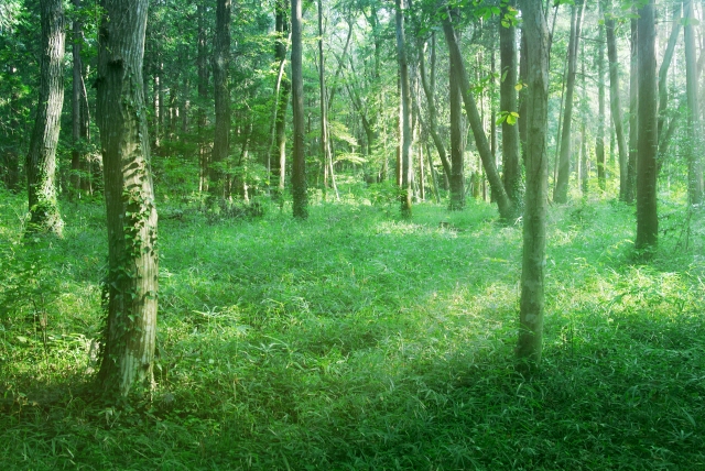 f:id:pilatesno-1:20210219141111j:plain