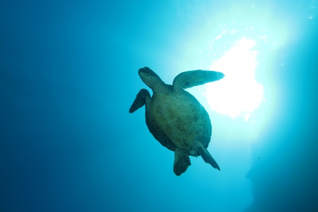 f:id:pilatesno-1:20210219202713j:plain