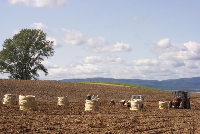 f:id:pilatesno-1:20210301092717j:plain