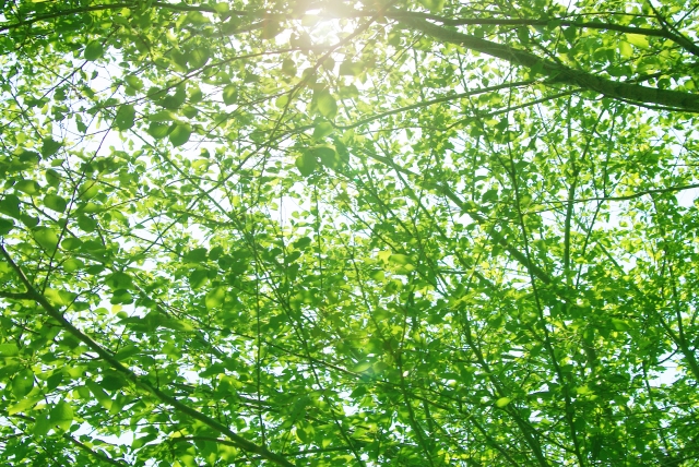 f:id:pilatesno-1:20210307092222j:plain