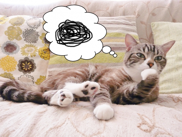 f:id:pilatesno-1:20210307092349j:plain