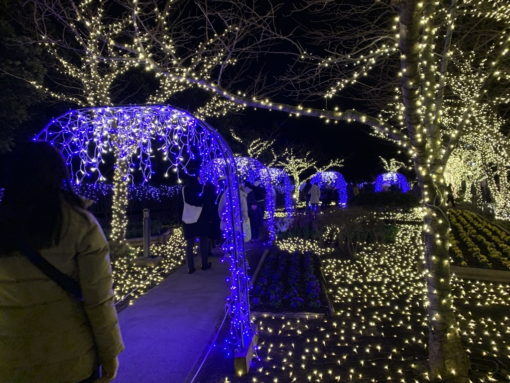 f:id:pilgrim1969:20190114154228j:plain f:id:pilgrim1969:20190114154228j:plain
