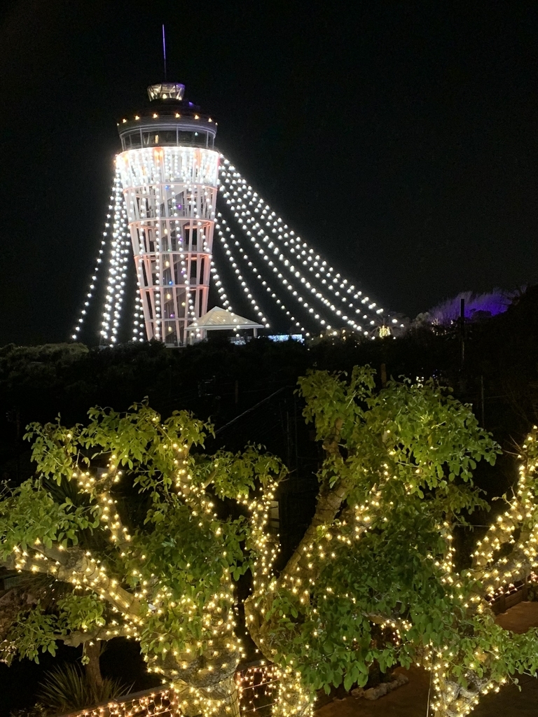 f:id:pilgrim1969:20190114154408j:plain f:id:pilgrim1969:20190114154408j:plain