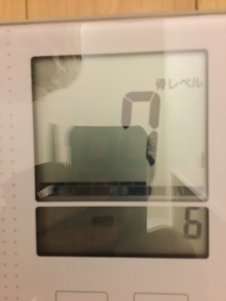 f:id:pilgrim1969:20190309124907j:plain
