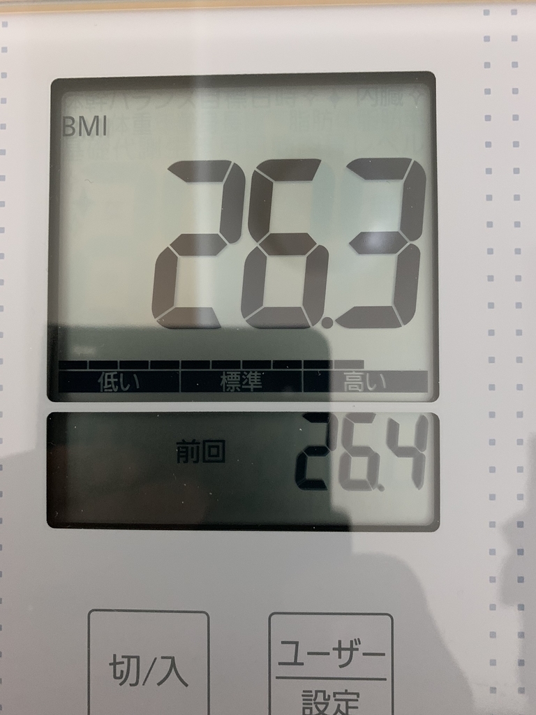 f:id:pilgrim1969:20190310134318j:plain