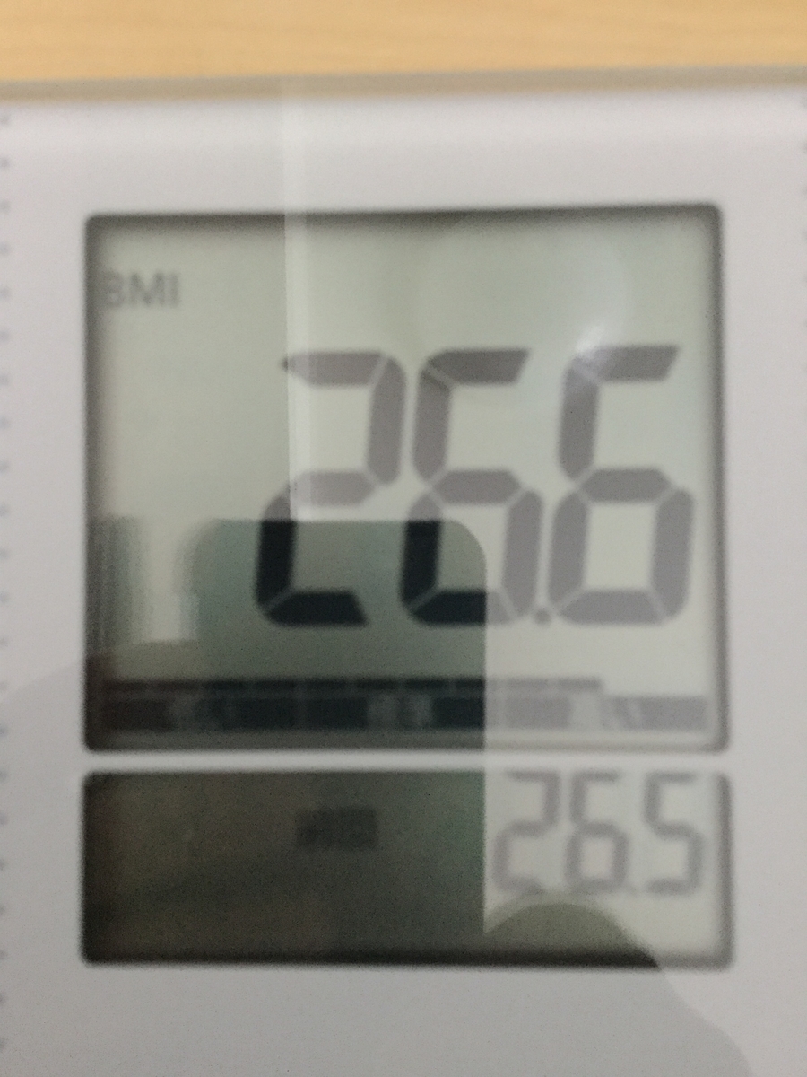f:id:pilgrim1969:20190406125206j:plain f:id:pilgrim1969:20190406125206j:plain
