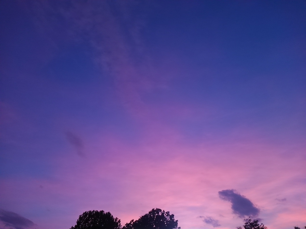 f:id:pill_grimm:20180727195435j:plain f:id:pill_grimm:20180727195435j:plain