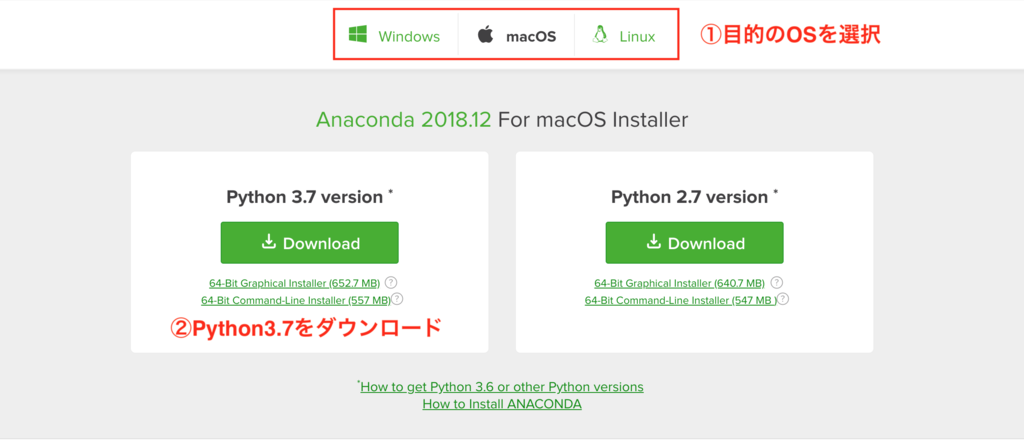 f:id:pillowback:20190115154115p:plain f:id:pillowback:20190115154115p:plain