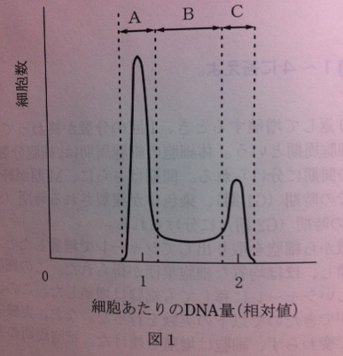 f:id:pilot_doctor2:20110206213935p:image