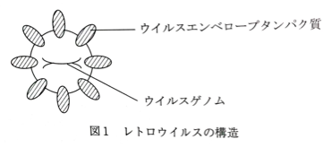 f:id:pilot_doctor2:20110404184122p:image