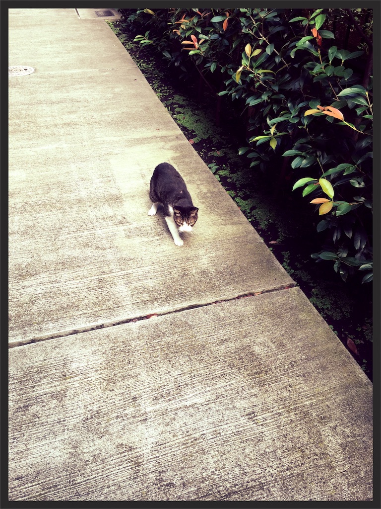 f:id:pilotfish272:20160930195214j:image