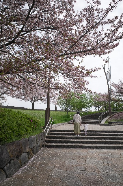 東京都内の子連れおすすめお花畑のある公園 大島小松川公園 外食好き料理初心者ワーママの食事と外出の記録