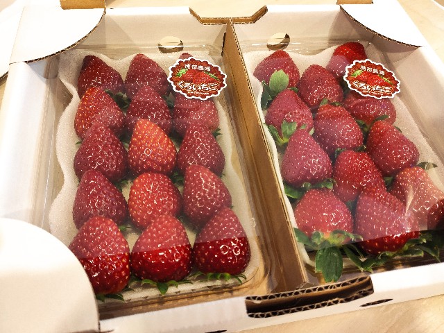 いちご　黒 ☆予約受付☆杉山いちご農園 希少品種！ 黒色いちご「真紅の美鈴（しん