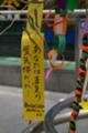 IMGP0150.JPG