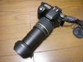TAMRON AF18-250mm F/3.5-6.3(A18)テレ