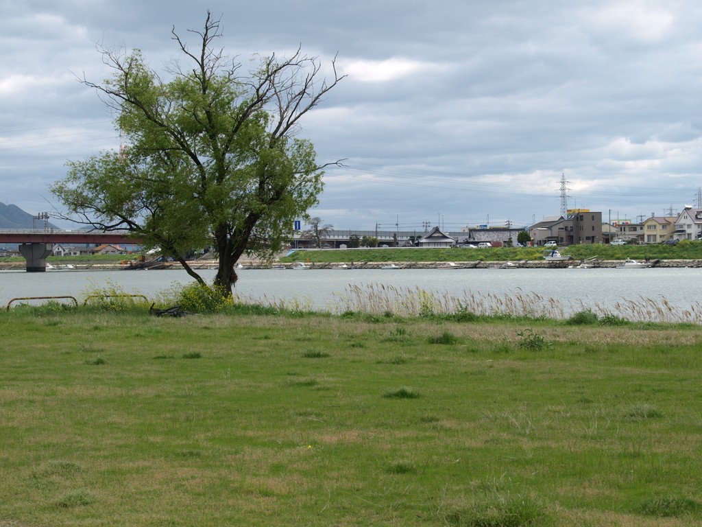 P4198790.JPG