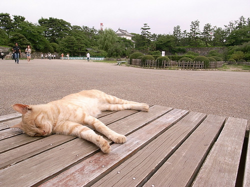 20080814220534