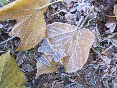 f:id:pimpi:20111113064348j:image:w360 f:id:pimpi:20111113064348j:image:w360