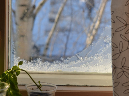 f:id:pimpi:20120130073415j:image:w230:left f:id:pimpi:20120130073415j:image:w230:left