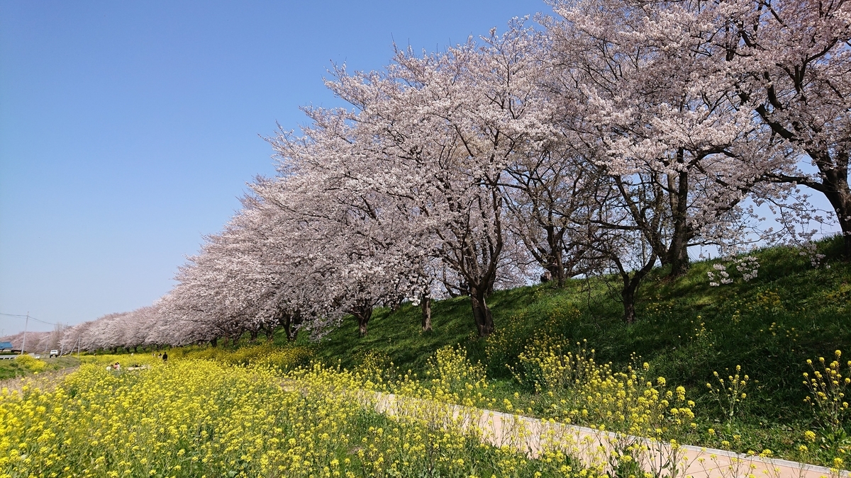 f:id:pina15:20200326191533j:plain