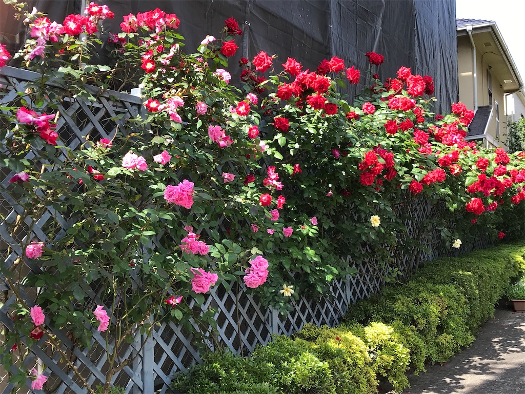 f:id:pinacola:20190518214049j:image f:id:pinacola:20190518214049j:image