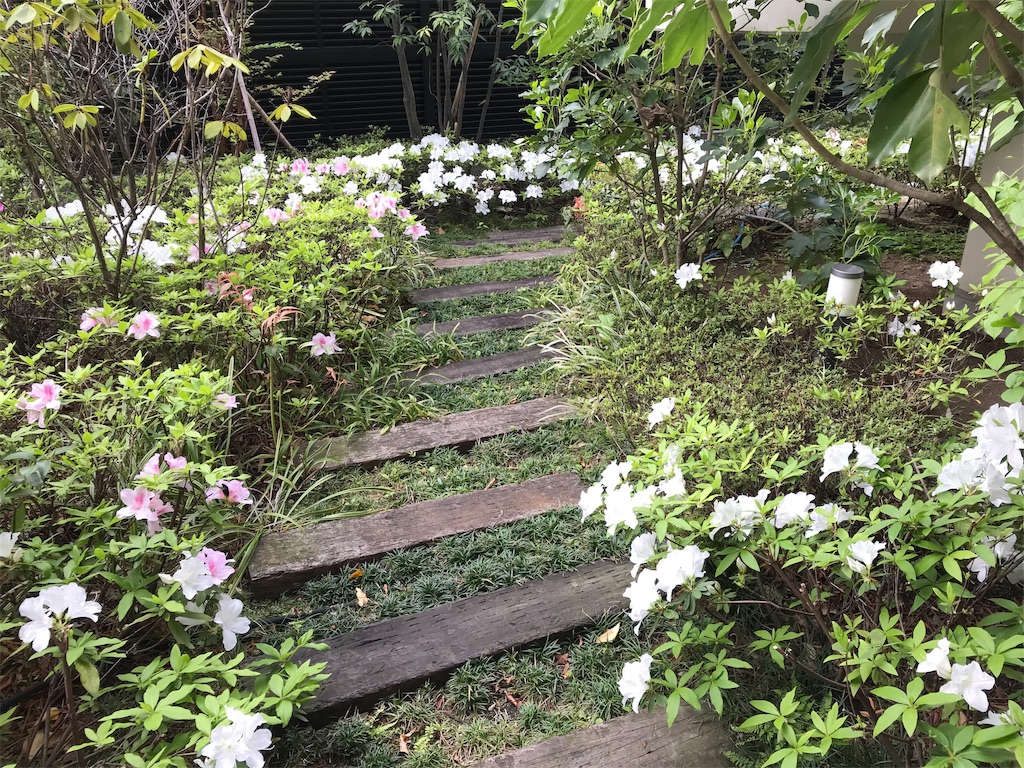 f:id:pinacola:20190518214314j:image f:id:pinacola:20190518214314j:image
