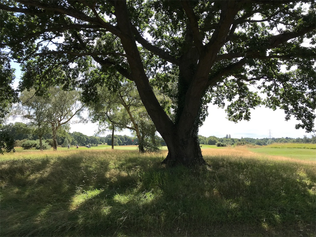 f:id:pinacola:20190818221629j:image f:id:pinacola:20190818221629j:image