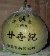 f:id:pinapple:20090921140127j:image:right f:id:pinapple:20090921140127j:image:right
